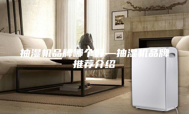 抽濕機(jī)品牌哪個(gè)好—抽濕機(jī)品牌推薦介紹