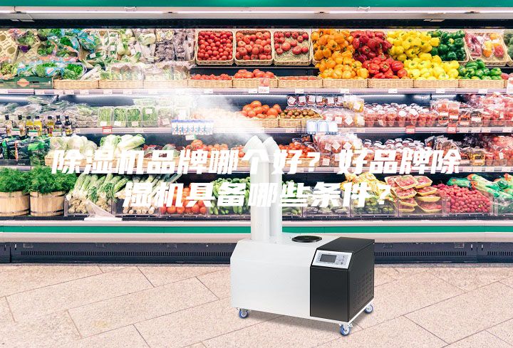 除濕機品牌哪個好？好品牌除濕機具備哪些條件？