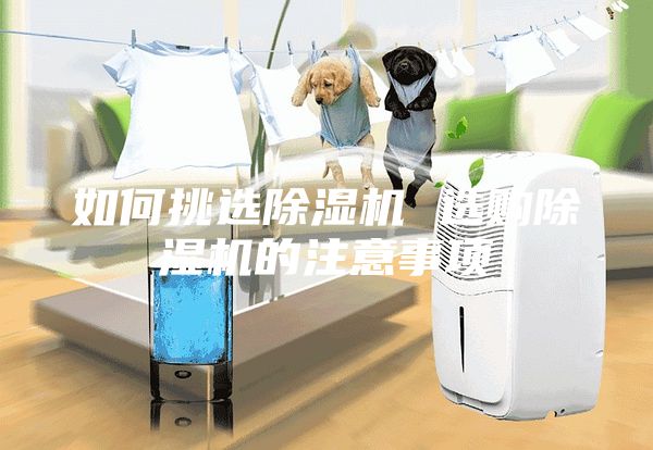 如何挑選除濕機 選購除濕機的注意事項