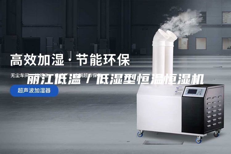 麗江低溫／低濕型恒溫恒濕機(jī)