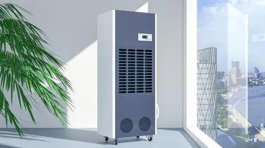 難見太陽,南方潮濕,使用除濕機