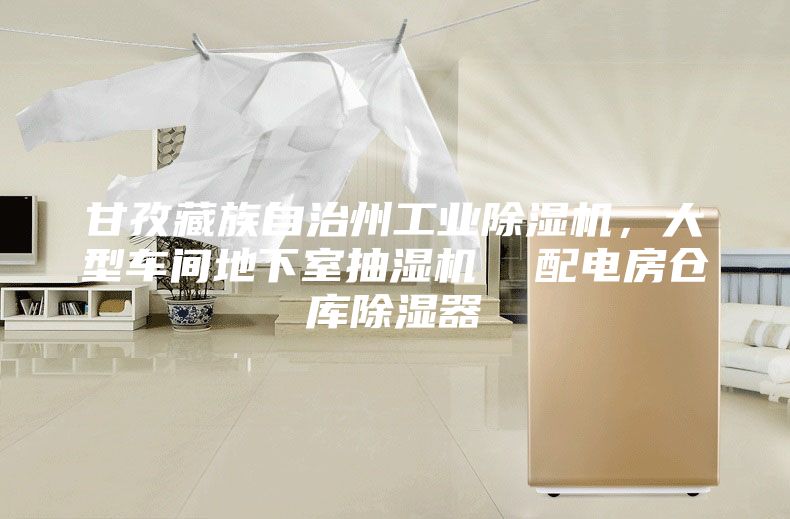 甘孜藏族自治州工業除濕機，大型車間地下室抽濕機  配電房倉庫除濕器