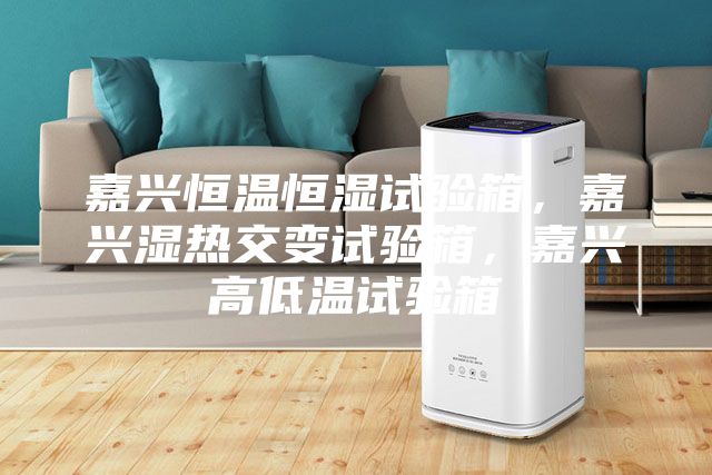 嘉興恒溫恒濕試驗(yàn)箱,嘉興濕熱交變?cè)囼?yàn)箱,嘉興高低溫試驗(yàn)箱