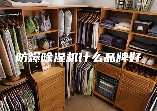 防爆除濕機什么品牌好