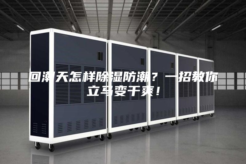 回潮天怎樣除濕防潮？一招教你立馬變干爽！