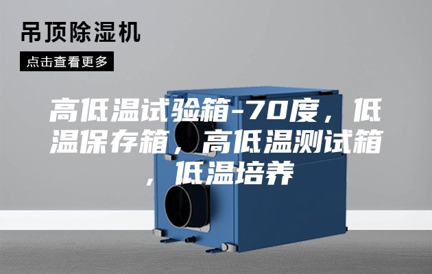 高低溫試驗箱-70度，低溫保存箱，高低溫測試箱，低溫培養